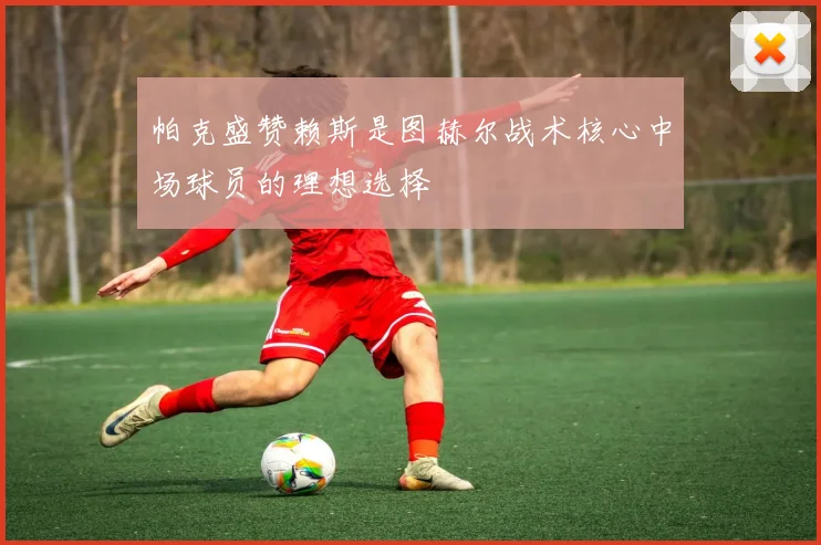 帕克盛赞赖斯是图赫尔战术核心中场球员的理想选择